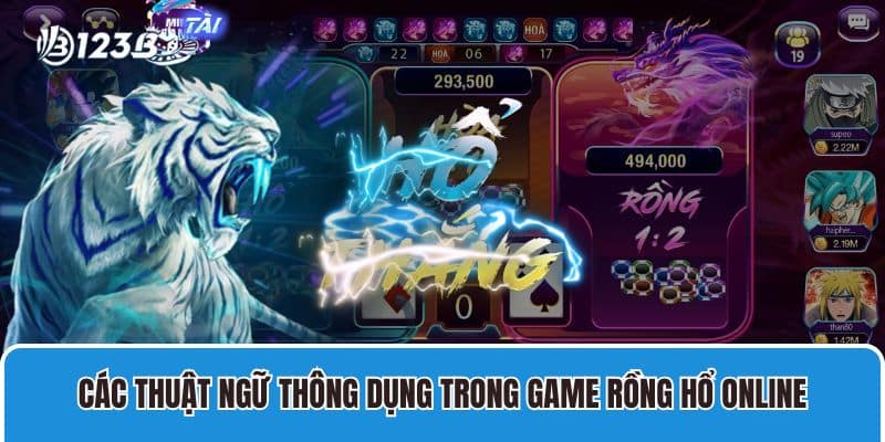 Các thuật ngữ thông dụng trong game Rồng Hổ online