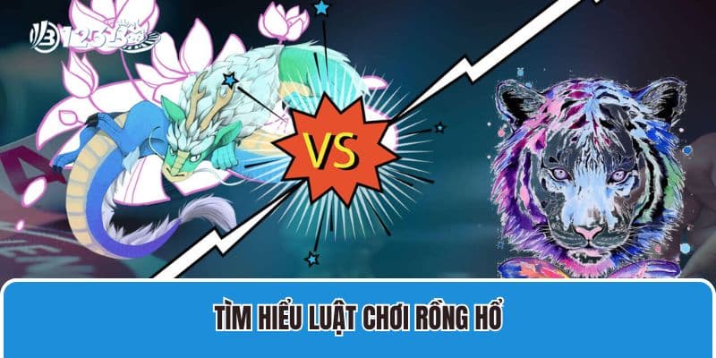 Tìm hiểu luật chơi Rồng Hổ