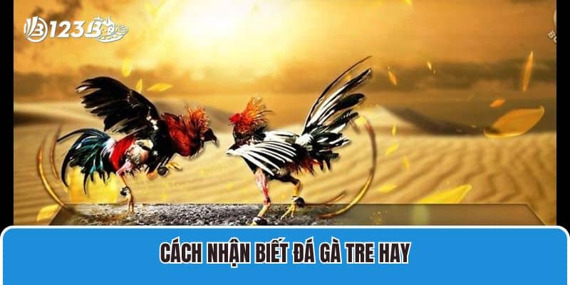 Cách nhận biết đá gà tre hay