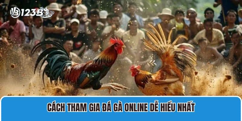 Cách tham gia đá gà online dễ hiểu nhất