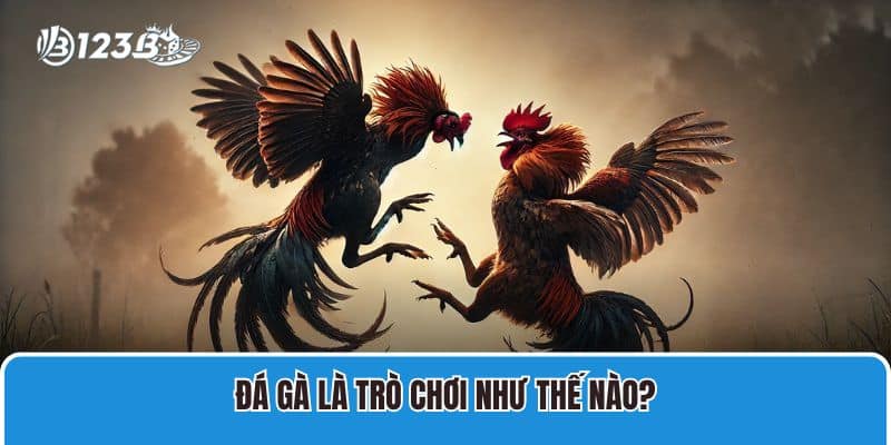 Đá gà là trò chơi như thế nào?