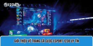 Giới thiệu về trang cá cược esport 123B uy tín