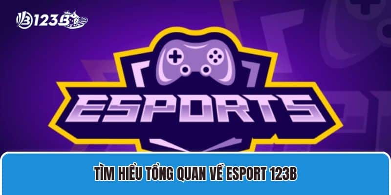 Tìm hiểu tổng quan về esport 123B