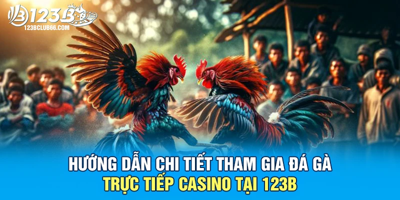 Đá Gà Trực Tiếp Casino 123B