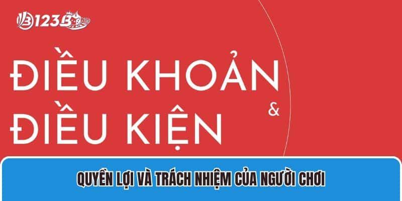 Quyền lợi và trách nhiệm của thành viên khi cá cược